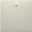 Envelope
