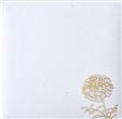 Envelope